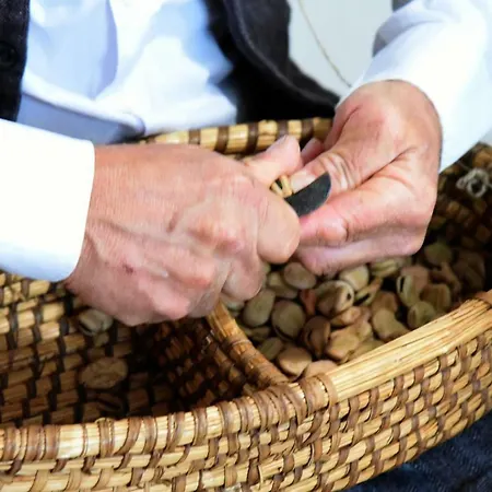 Trulli Occhi Di Pietra Appartamento *