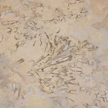 Trulli Occhi Di Pietra Appartamento *