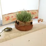 Διαμέρισμα Trulli Occhi Di Pietra Αλμπερομπέλο